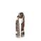 Sarlini sjaal met all-over print bruin