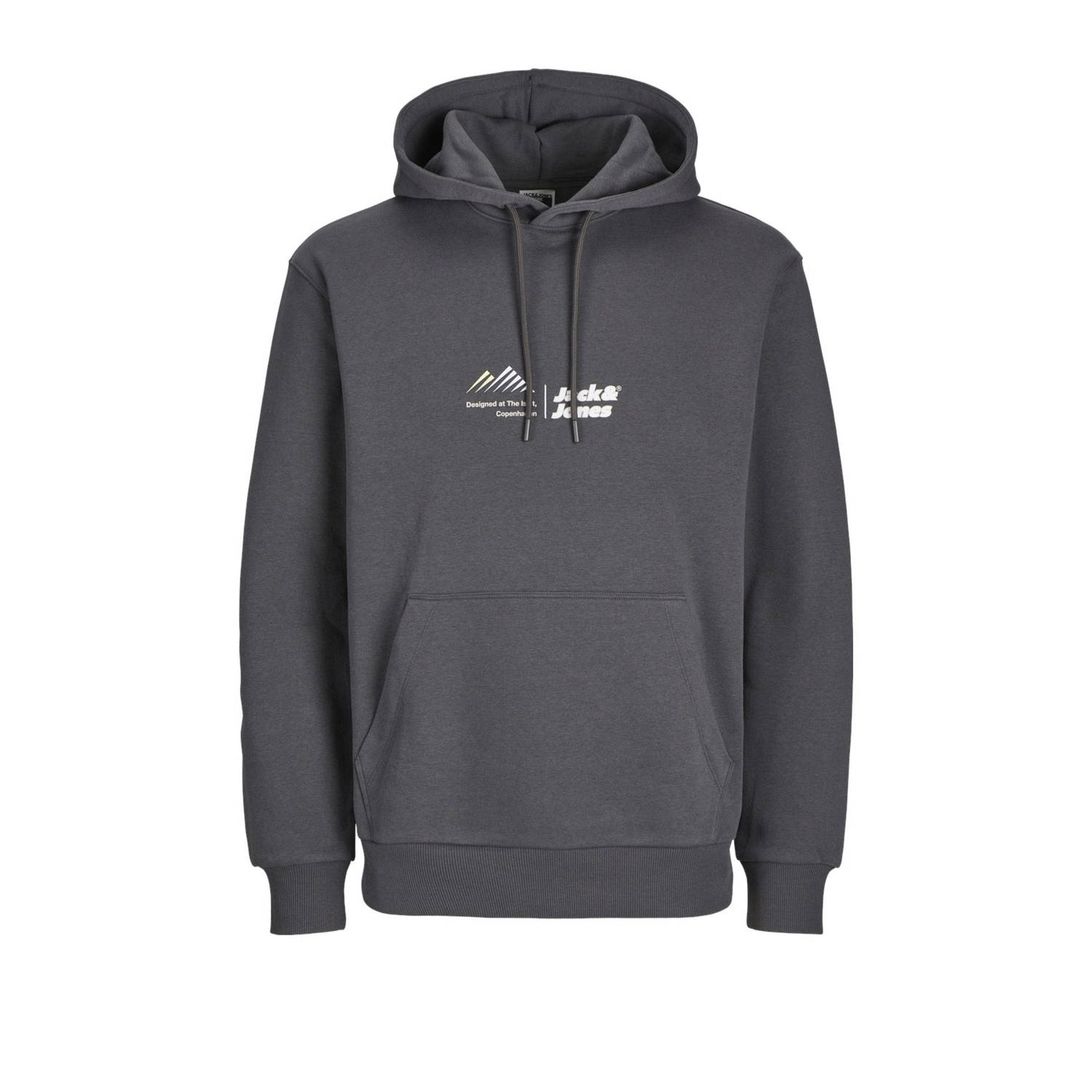 JACK & JONES PLUS SIZE hoodie grijs