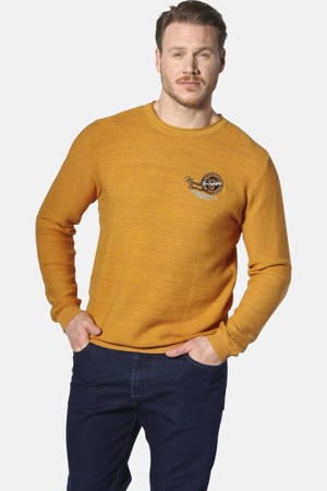 +FIT Collectie gebreide trui TRYGVE Plus Size geel