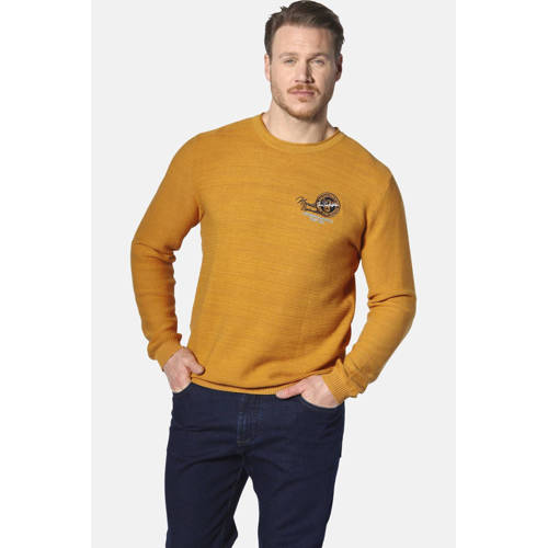 Jan Vanderstorm +FIT Collectie gebreide trui TRYGVE Plus Size geel afbeelding