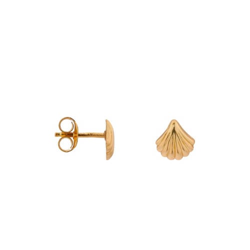 Label Kiki gold plated oorbellen Shell afbeelding
