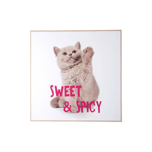 Present Time wanddecoratie Kitten Sweet & Spicy (40x40 cm) - roze