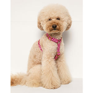 hondenharnas ZEBRA-HARNESS-BORDEAUX/PINK-L