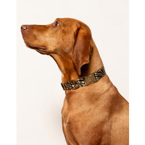 hondenhalsband ZEBRA-COLLAR-BEIGE/BLACK-M