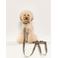Dogguo hondenriem ZEBRA-LEASH-BEIGE/BLACK-S