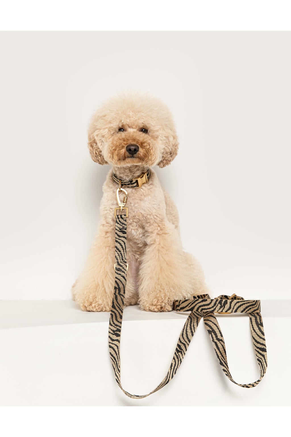 Dogguo hondenriem ZEBRA-LEASH-BEIGE/BLACK-S