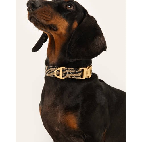 Dogguo hondenhalsband ZEBRA-COLLAR-BEIGE/BLACK-S afbeelding