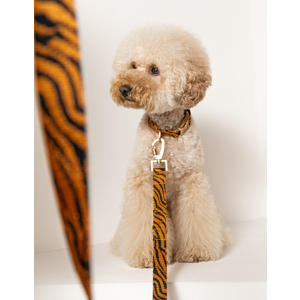 hondenriem ZEBRA-LEASH-RUST/BLACK-S