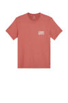 Etruscan Red