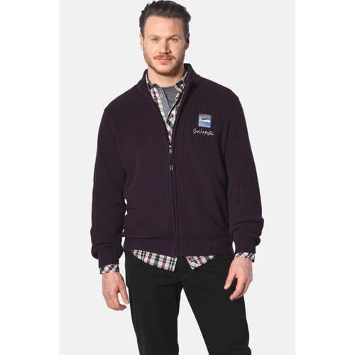 Jan Vanderstorm +FIT Collectie gebreid vest OLETARVIN aubergine afbeelding