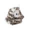 Fofos kattenspeelgoed Flapping Uil 10,5X7X8 cm