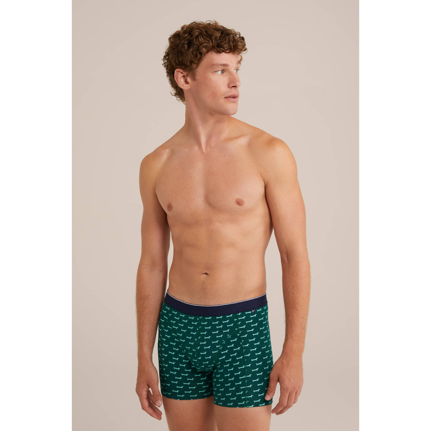 WE Fashion boxershort groen