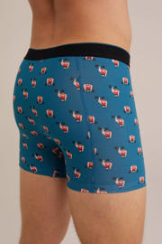 thumbnail: WE Fashion boxershort petrol