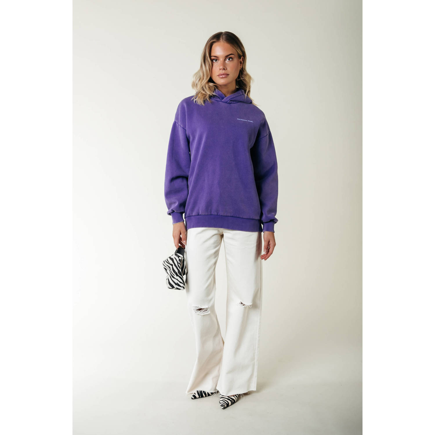Colourful Rebel hoodie paars