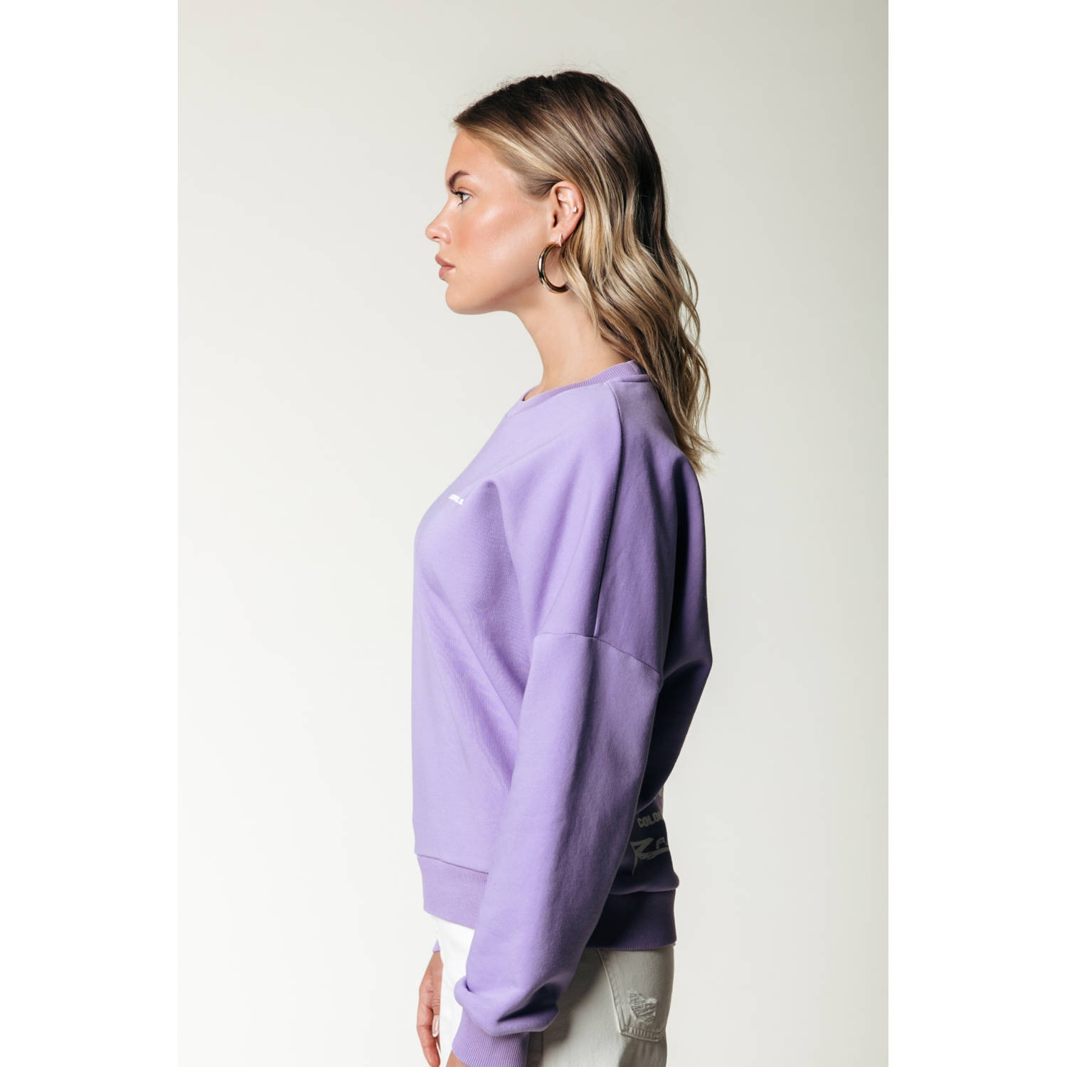 Colourful Rebel sweater lila