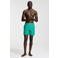 Shiwi The Sunshine Brand zwemshort Mike zeegroen