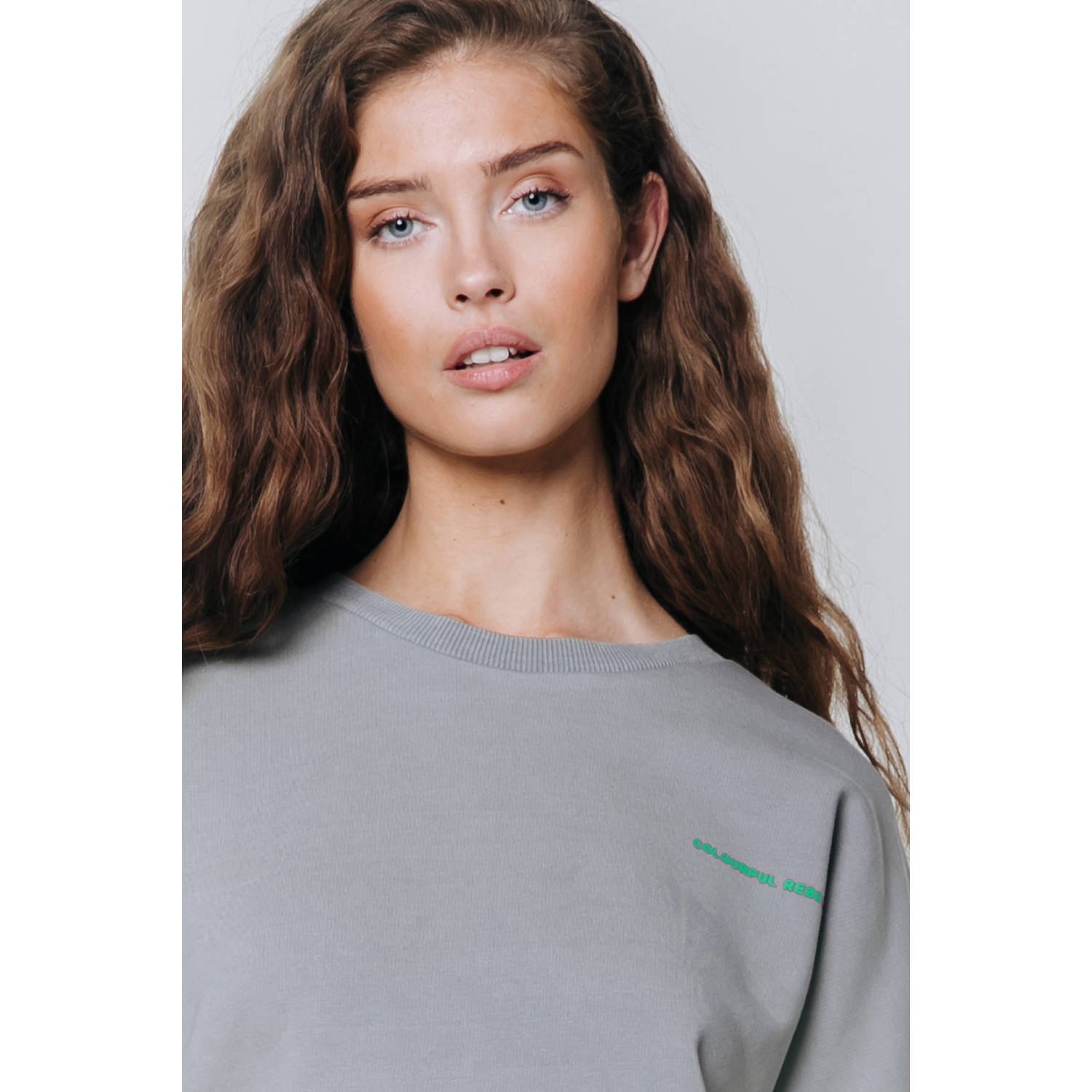 Colourful Rebel sweater grijs
