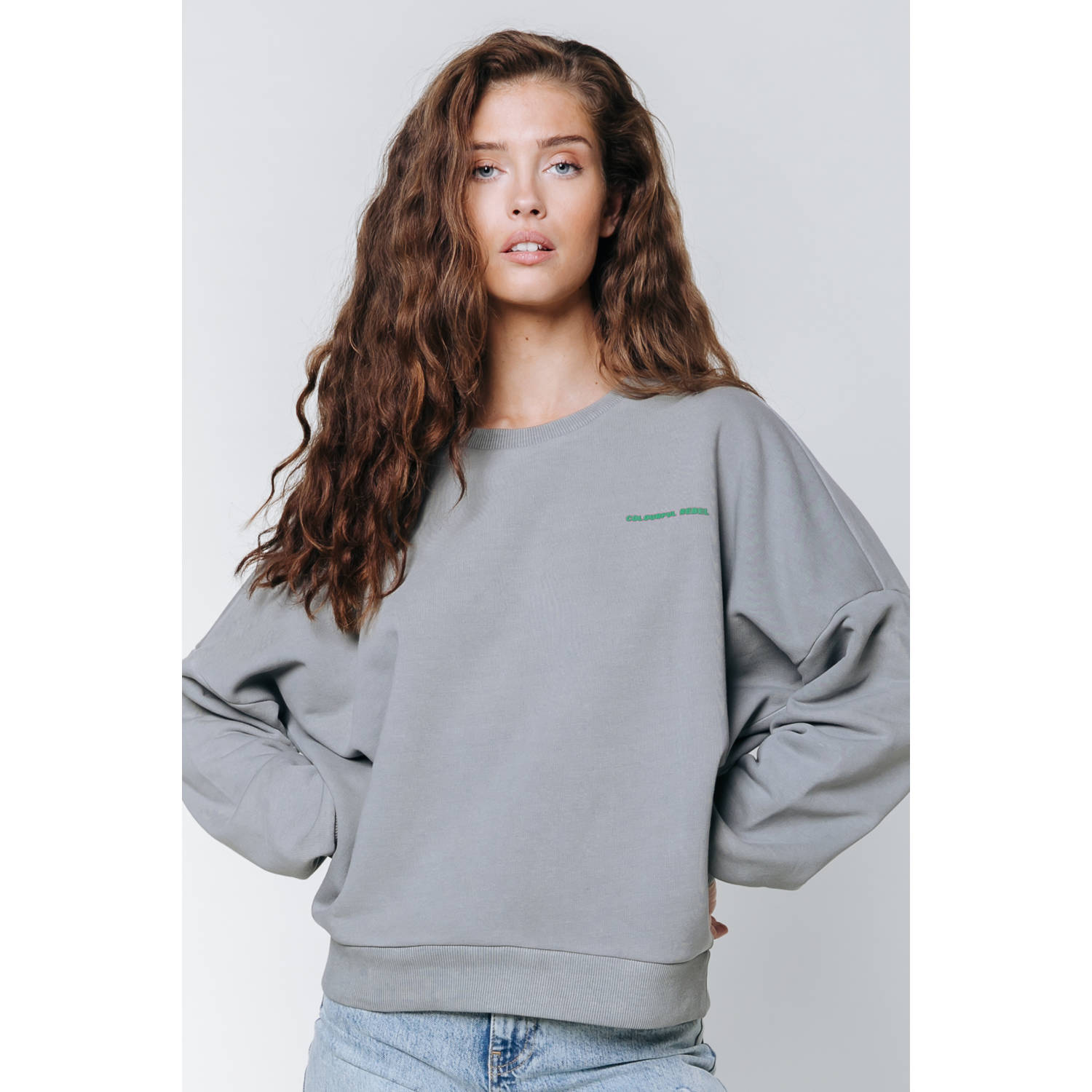 Colourful Rebel sweater grijs