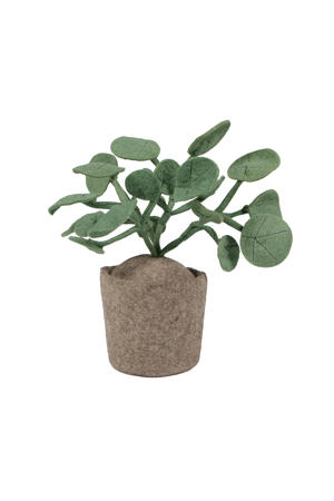 kunstplant Pileo Pepero