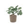 Kidsdepot kunstplant Pileo Pepero