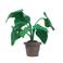 Kidsdepot kunstplant Alocasia