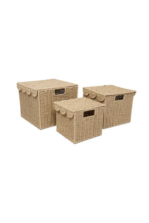opbergmand met deksel (set van 3) (naturel)