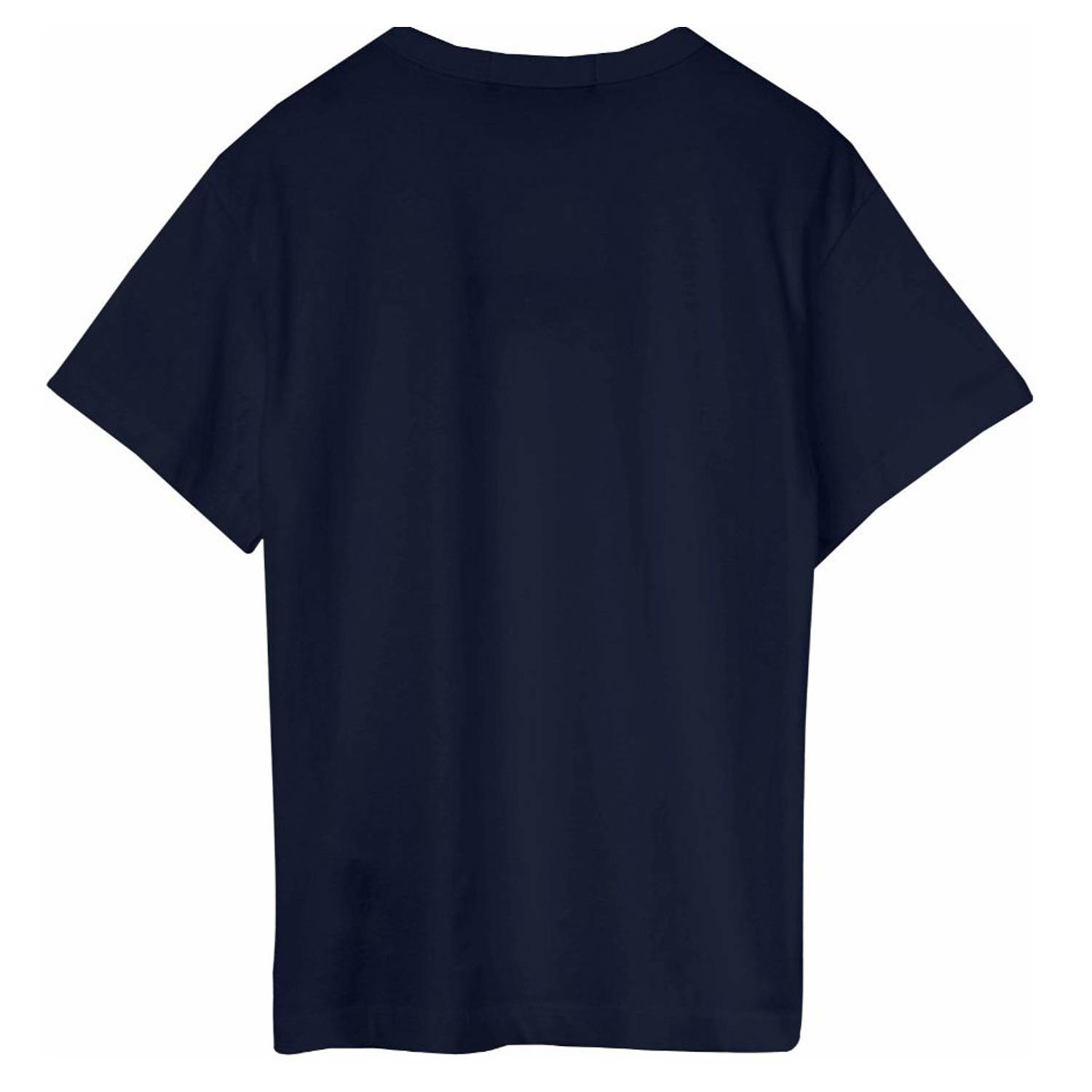 REPLAY T-shirt blauw