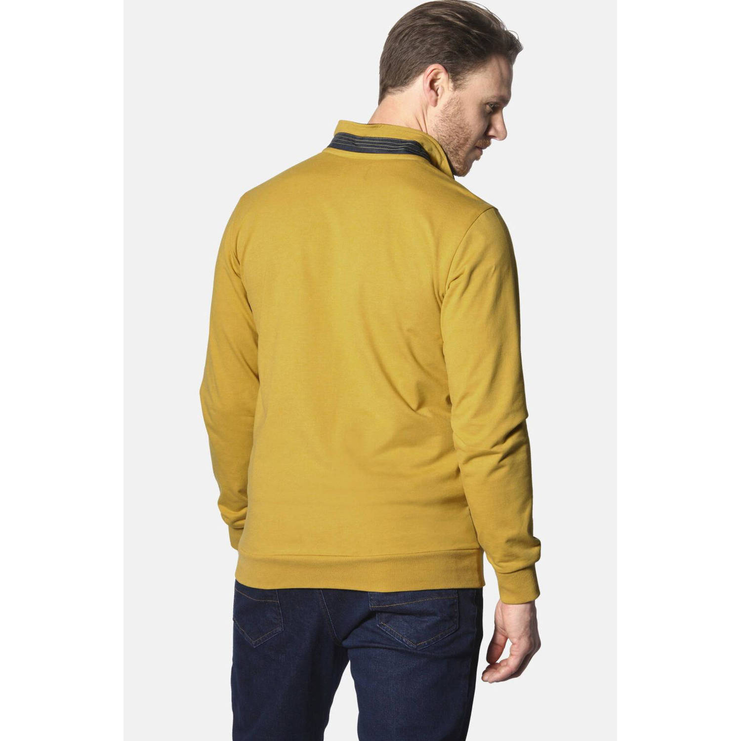 Jan Vanderstorm +FIT Collectie sweatvest ANDTARSEN Plus Size geel