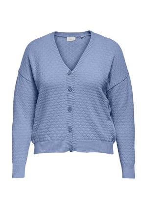 vest blauw gebreid