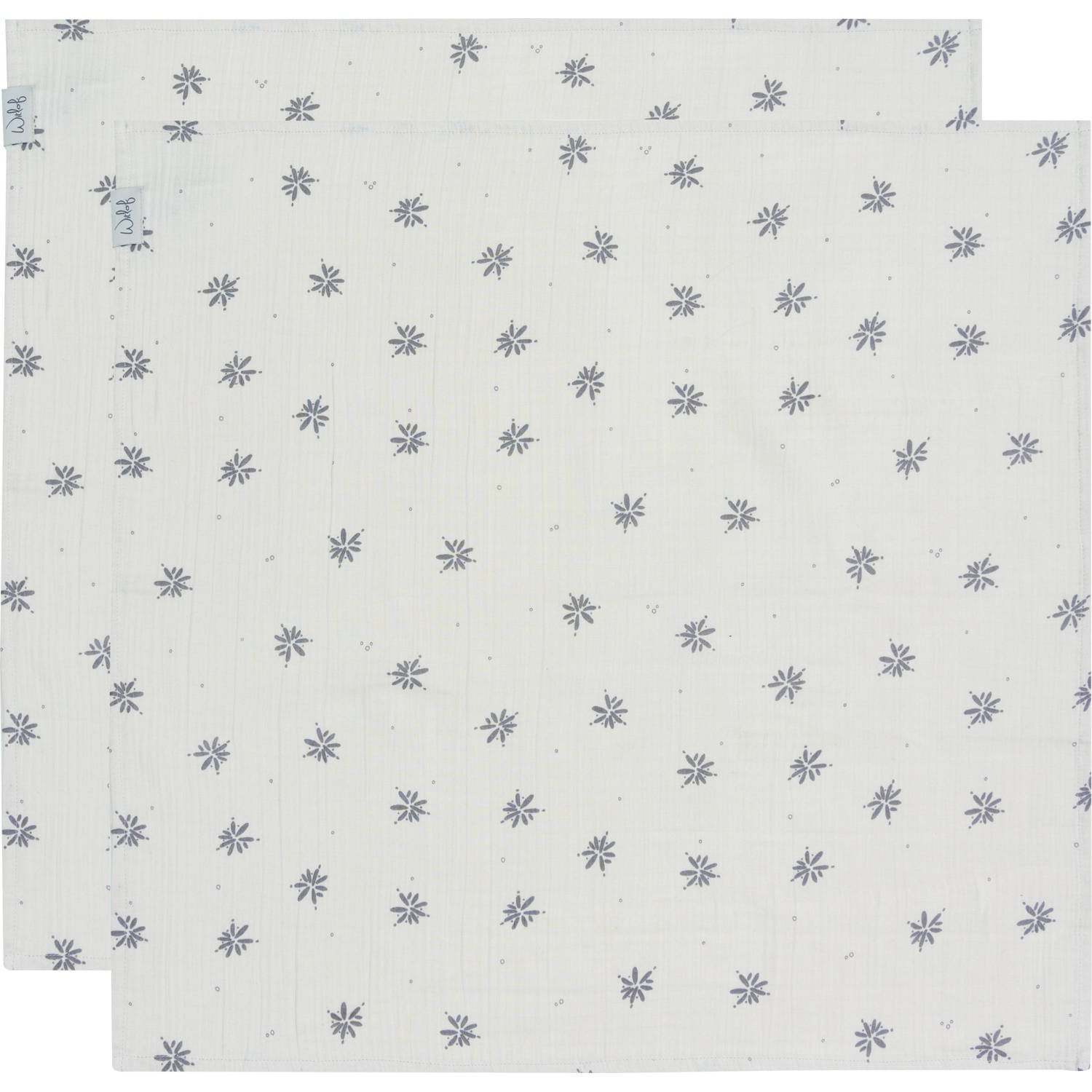 Witlof for kids hydrofiele doek Magical days set van 2
