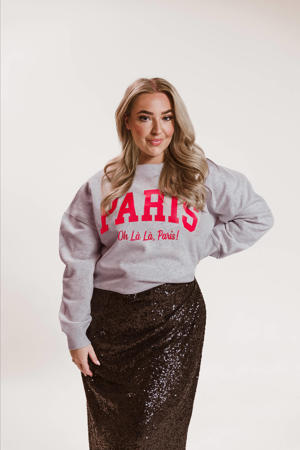 sweater met printopdruk grijs/rood