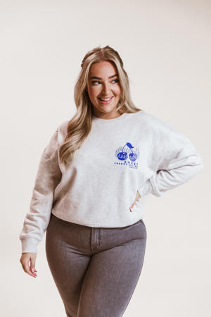 sweater met backprint grijs/blauw