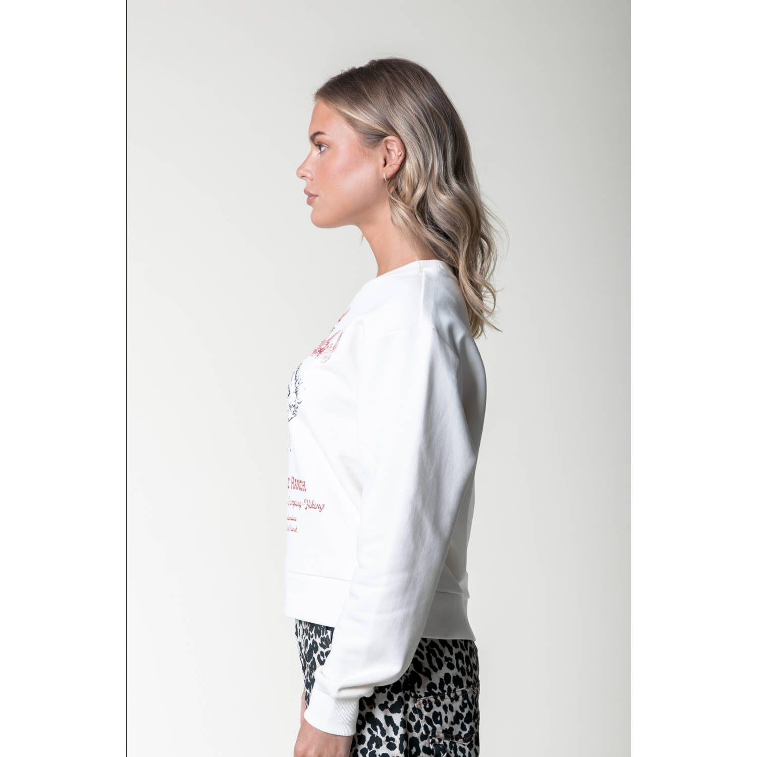 Colourful Rebel sweater wit