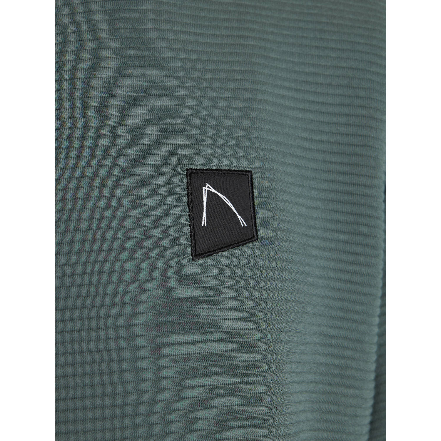 CHASIN' sweater groen