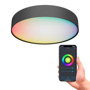Slimme Plafondlamp - 40cm - Zwart  