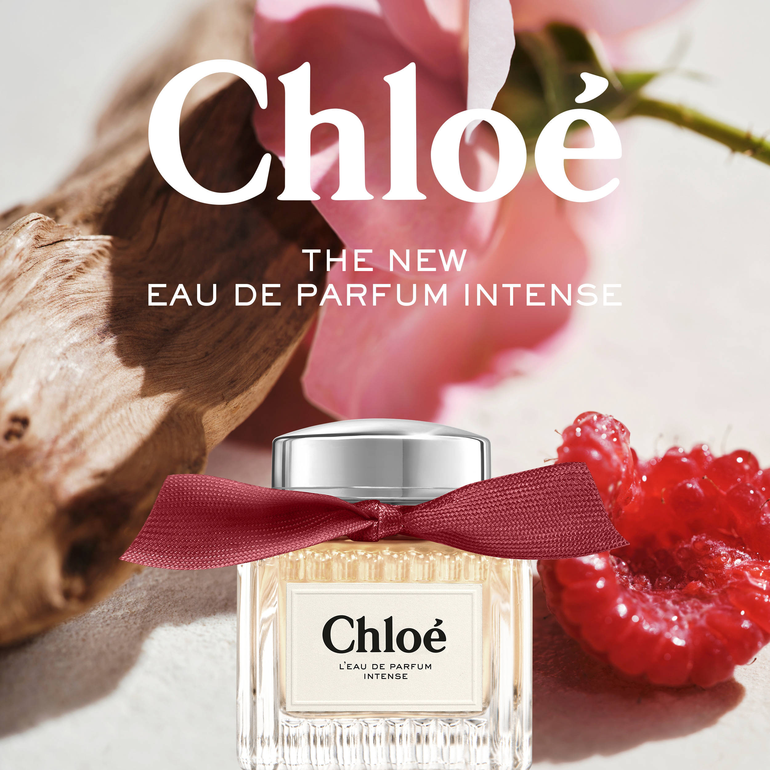 Chloé Signature L'eau de parfum intense - 50 ml | wehkamp