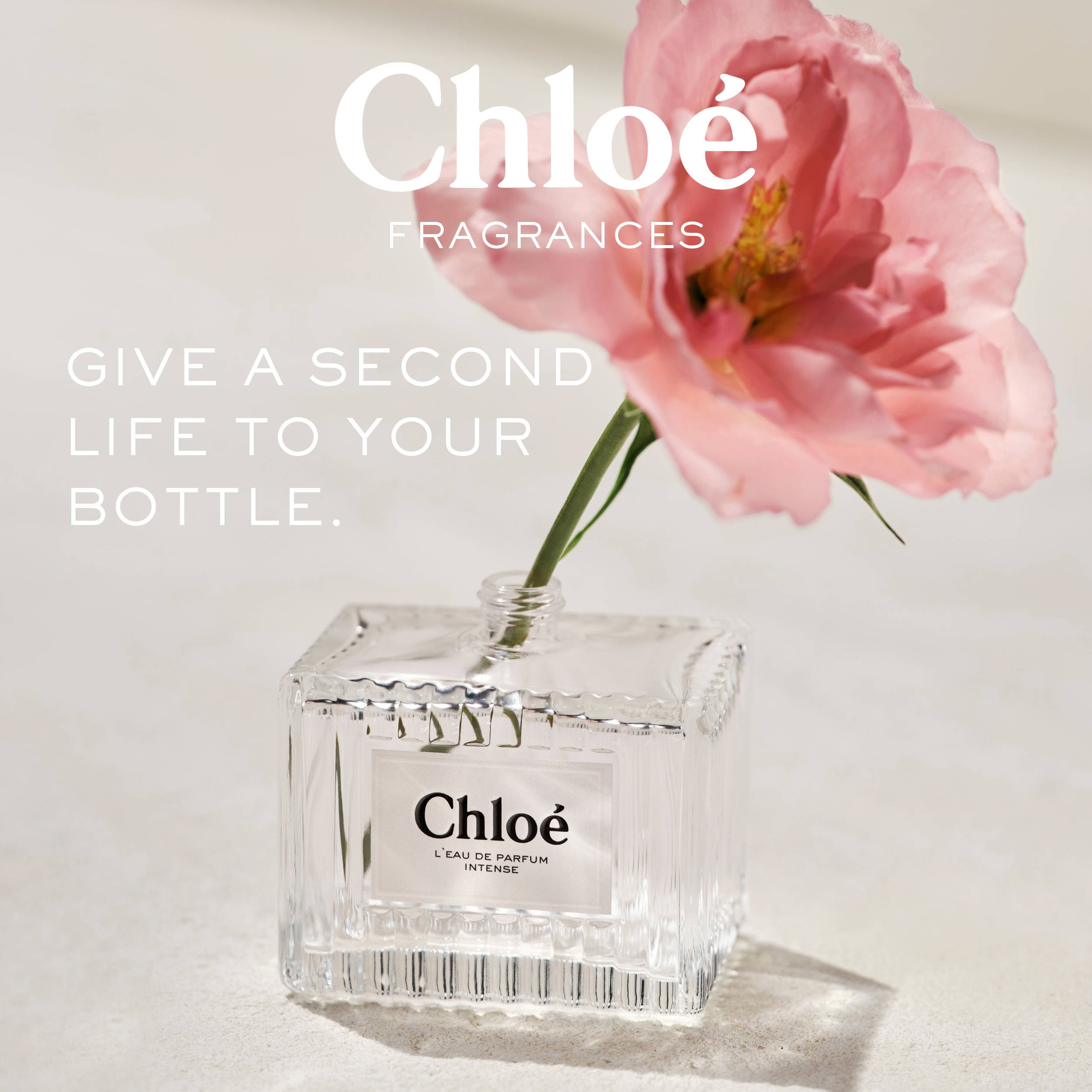 Chloé Signature L'eau de parfum intense - 50 ml | wehkamp