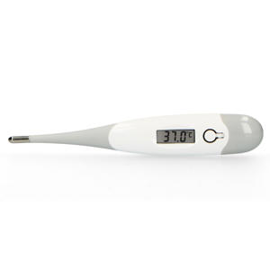 BC-19GS Thermometer