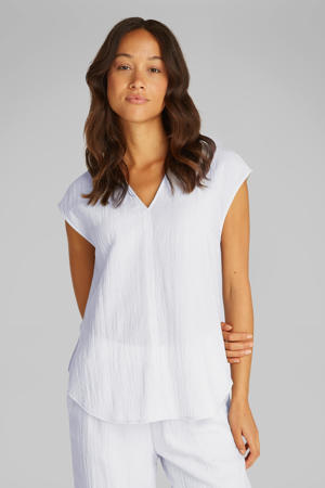 blouse lichtblauw