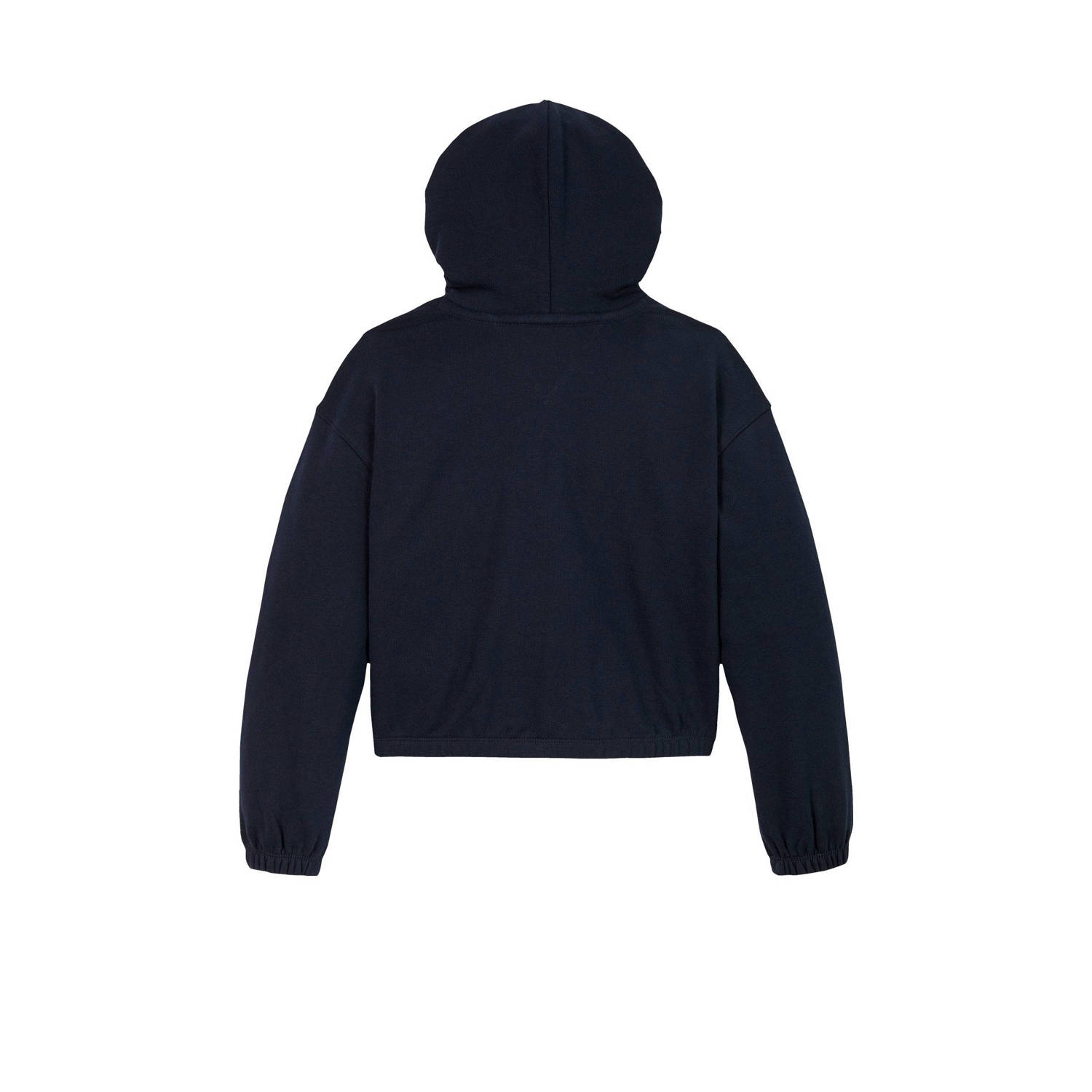 Tommy Hilfiger sweater blauw