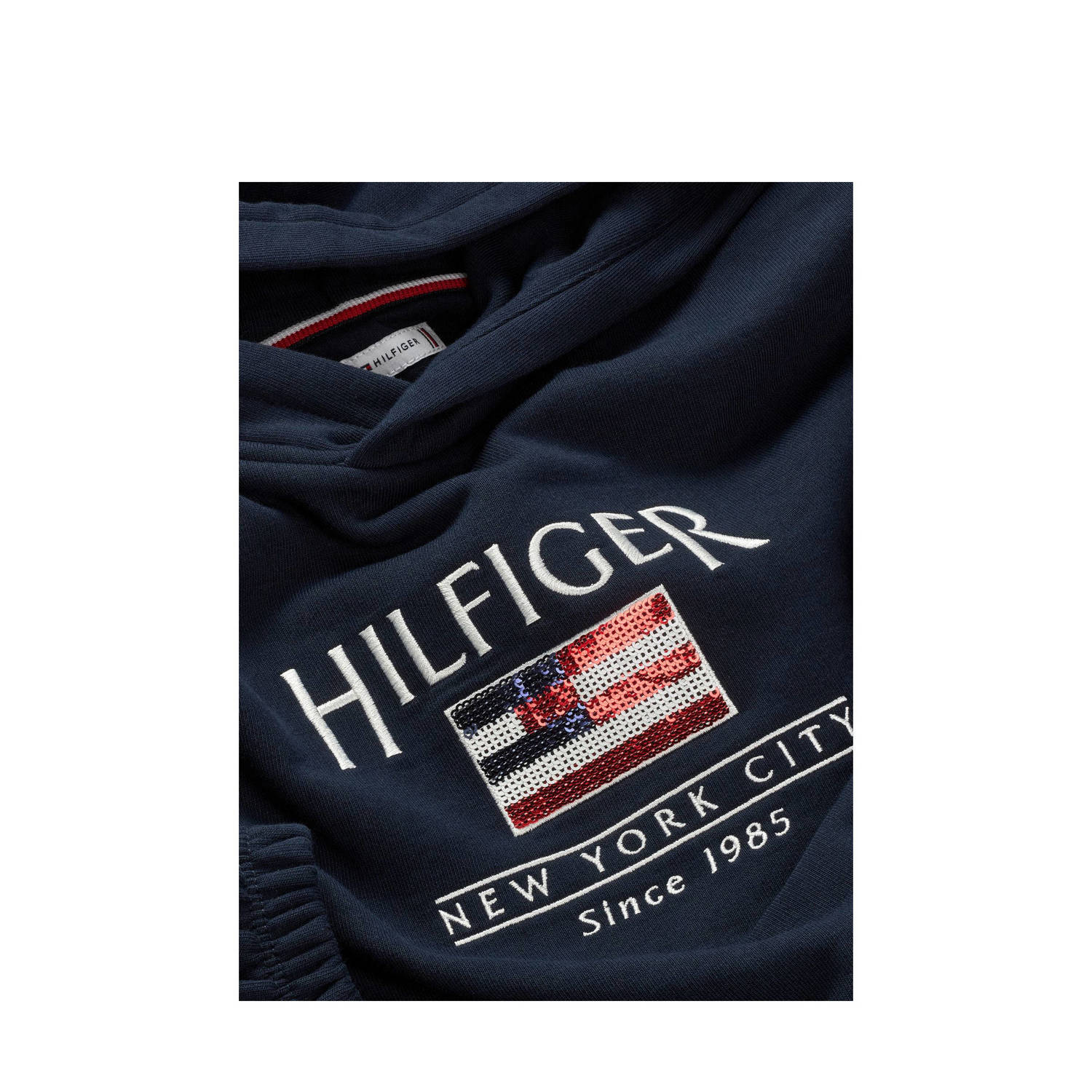 Tommy Hilfiger sweater blauw