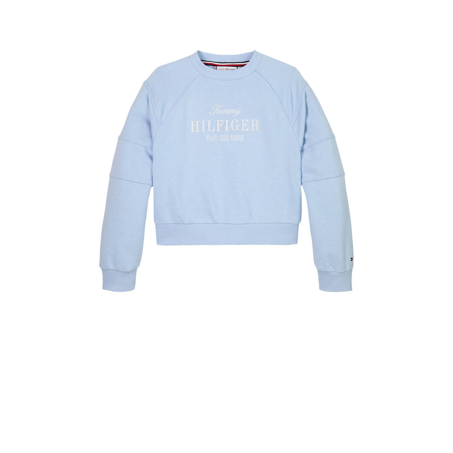 Tommy Hilfiger sweater blauw