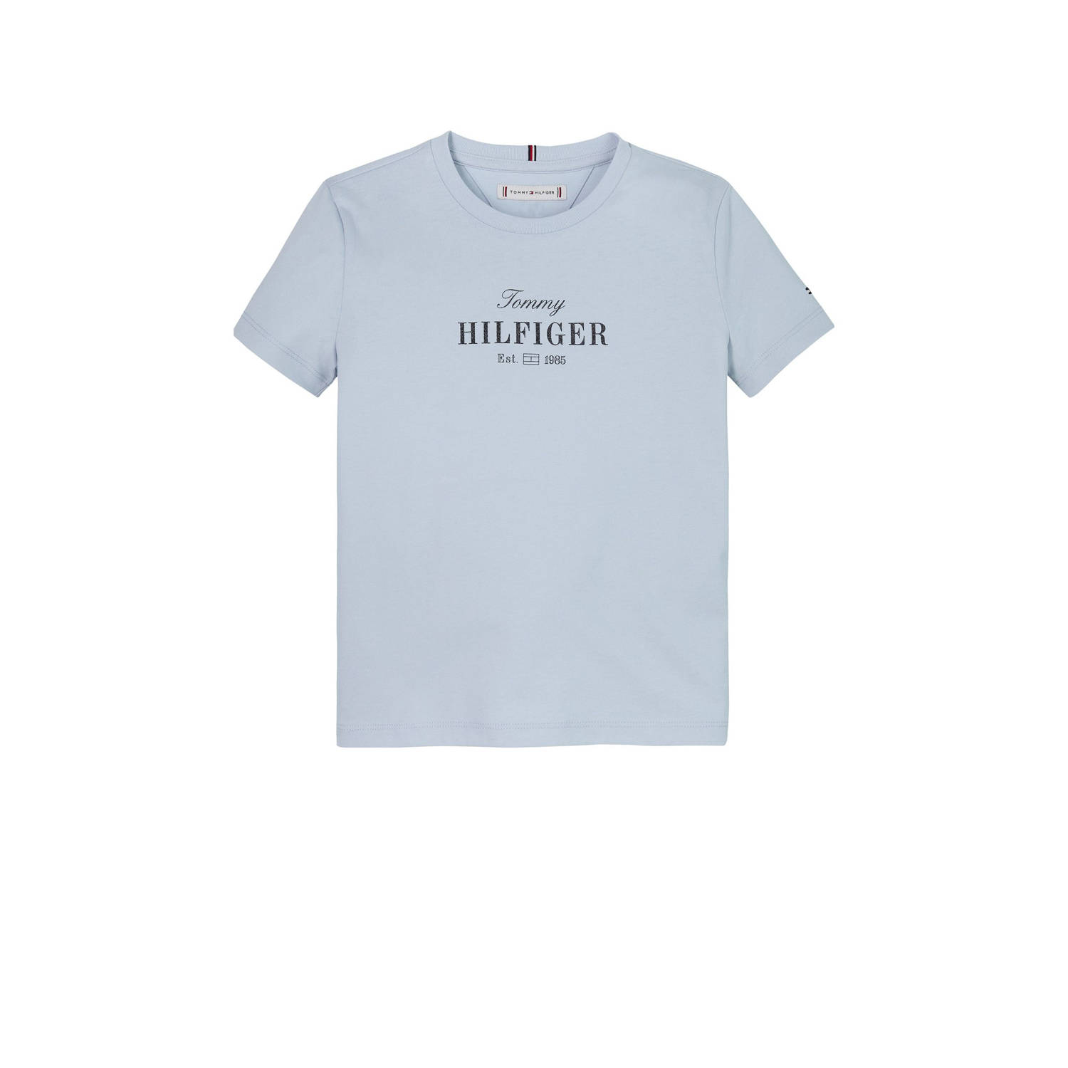 Tommy Hilfiger T-shirt blauw