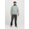 JACK & JONES PLUS SIZE hoodie