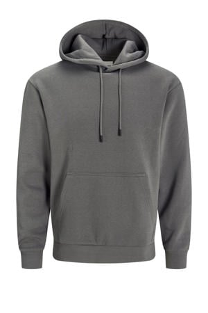 hoodie Plus Size grijs