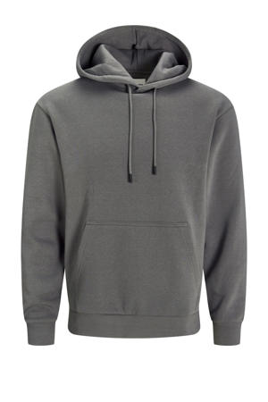 hoodie Plus Size grijs