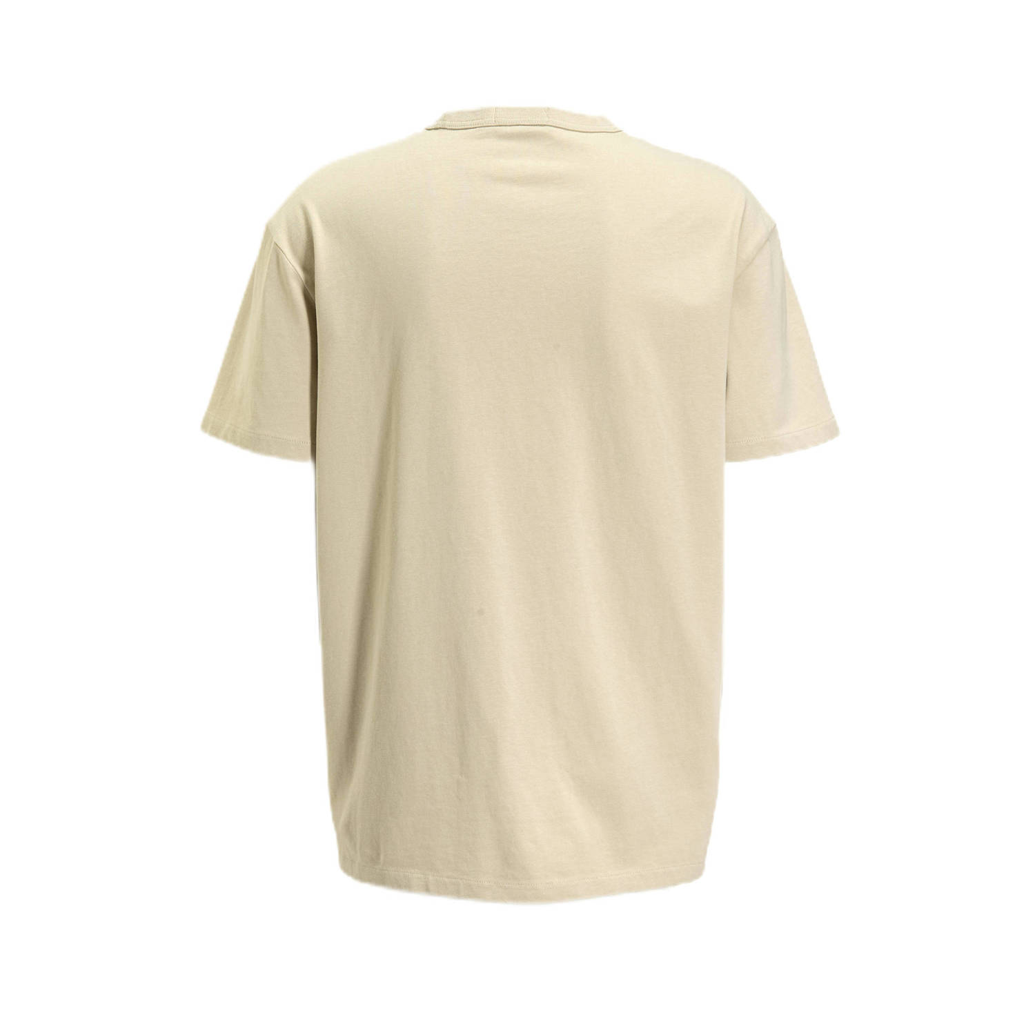 POLO Ralph Lauren regular fit T-shirt stoneware grey