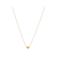 Abrazi gold plated ketting Paris