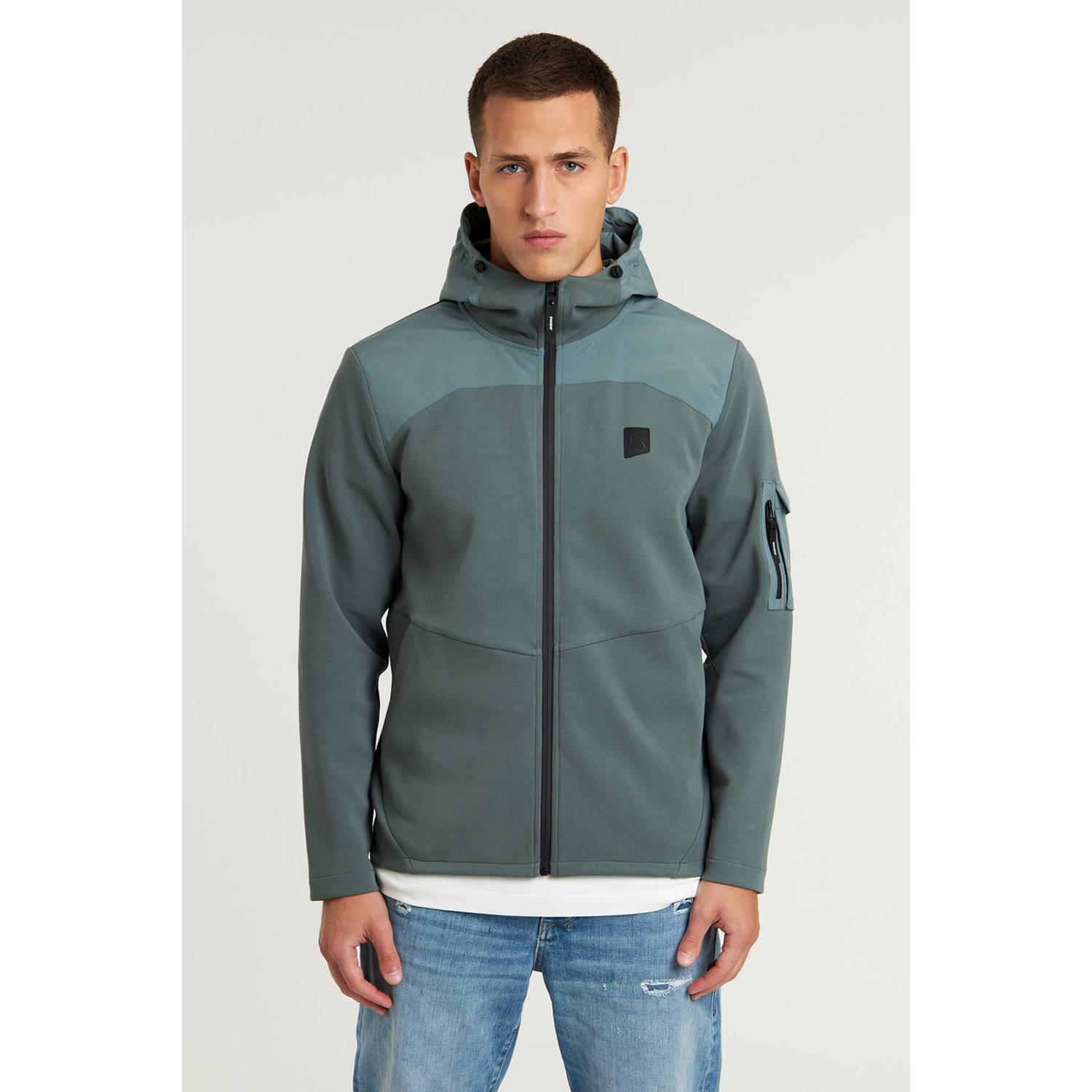 Chasin Lion Mix Vest Green Heren