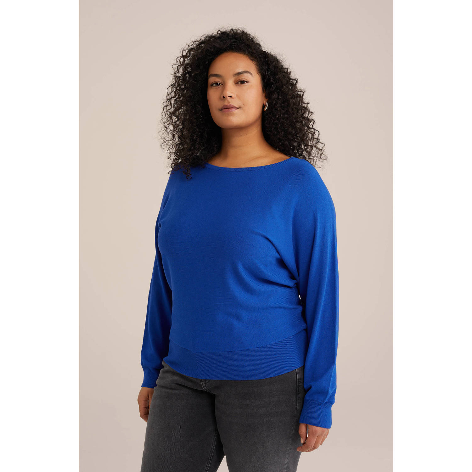 WE Fashion Curve pullover blauw